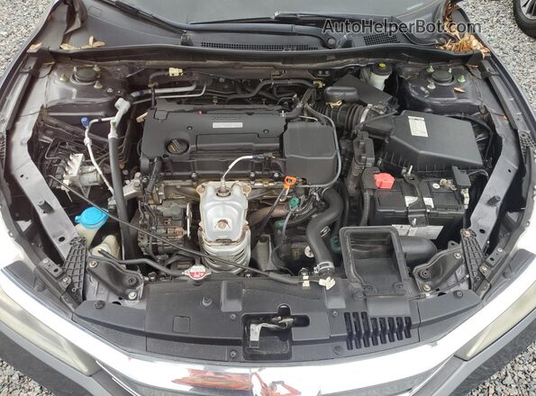 1HGCR2F3XHA250014 2017 HONDA ACCORD Gray Սալոնի հետևի տեսք