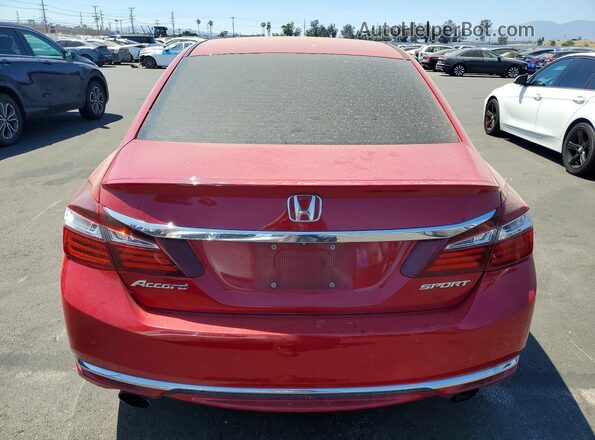 1HGCR2F51GA225664 2016 HONDA ACCORD Red Вид ззаду