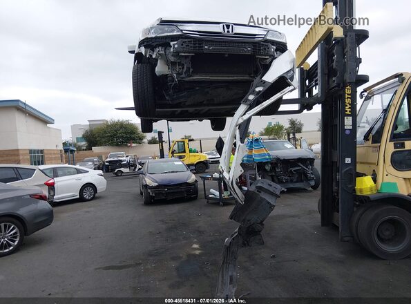 1HGCR2F51HA285591 2017 HONDA ACCORD White 