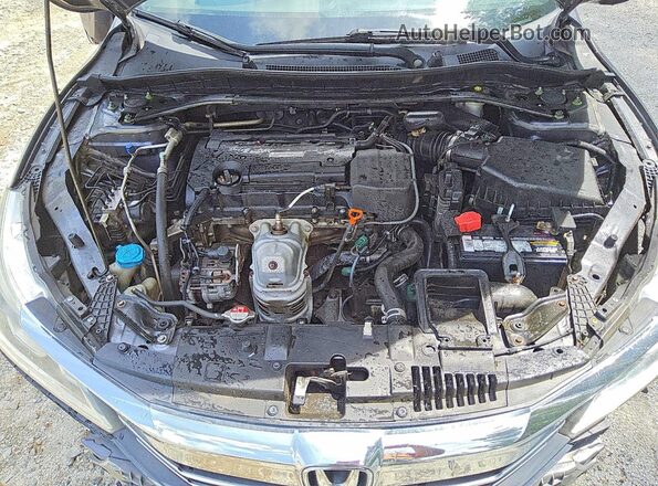 1HGCR2F55HA163610 2017 HONDA ACCORD Gray Rear interior view