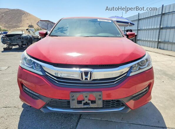 1HGCR2F56GA096580 2016 HONDA ACCORD Red Вид спереду
