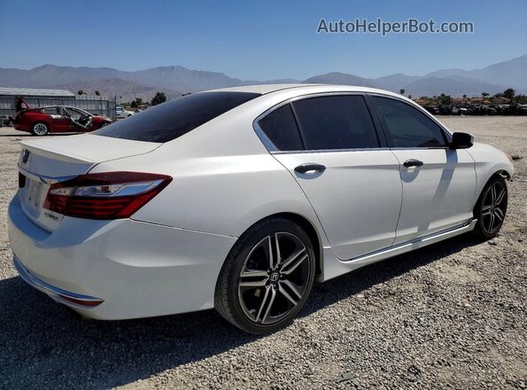 1HGCR2F58HA244097 2017 HONDA ACCORD White უკანა მარჯვენა