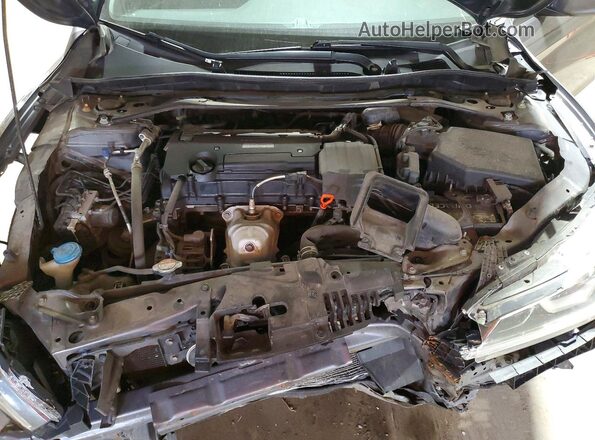 1HGCR2F59GA174544 2016 HONDA ACCORD Gray Սալոնի հետևի տեսք