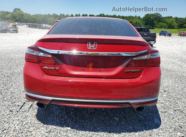 1HGCR2F59HA044569 2017 HONDA ACCORD Red Widok z tyłu