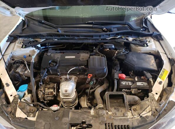 1HGCR2F62GA085911 2016 HONDA ACCORD White Սալոնի հետևի տեսք