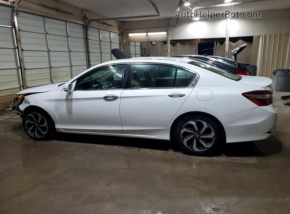 1HGCR2F80GA245253 2016 HONDA ACCORD White უკანა მარცხენა