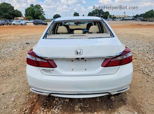 1HGCR2F80HA003029 2017 HONDA ACCORD White Вид ззаду