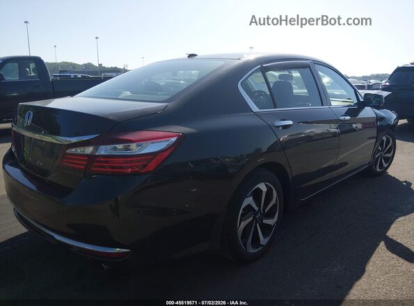 1HGCR2F80HA196587 2017 HONDA ACCORD Dark Brown Задня права чверть
