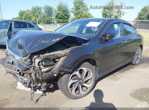 1HGCR2F80HA196587 2017 HONDA ACCORD Dark Brown Передня ліва чверть