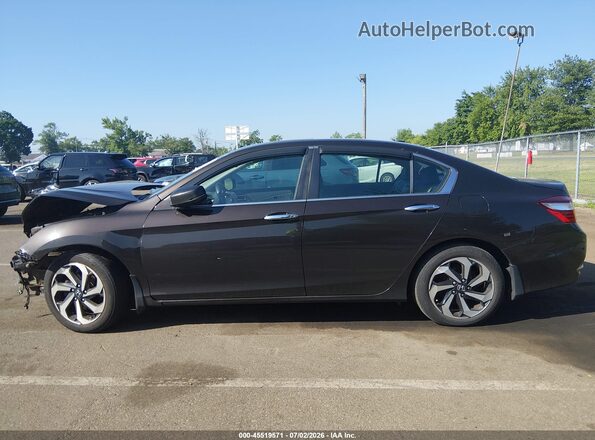 1HGCR2F80HA196587 2017 HONDA ACCORD Dark Brown Панорамний вид салону 360°