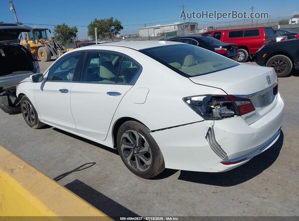 1HGCR2F86HA127015 2017 HONDA ACCORD White Задня ліва чверть