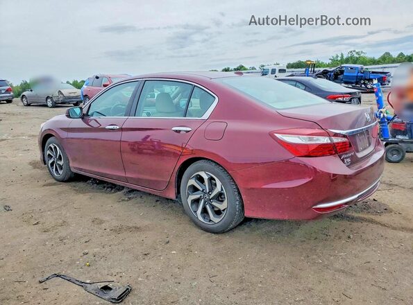 1HGCR2F96GA083489 2016 HONDA ACCORD Burgundy Задня ліва чверть