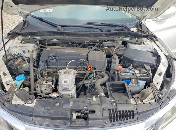 1HGCR2F98GA208881 2016 HONDA ACCORD Белый Вид задней части салона