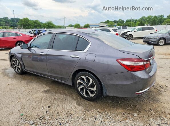 1HGCR2F9XHA263317 2017 HONDA ACCORD Gray Rear left
