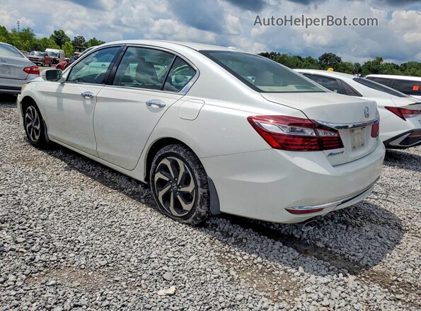 1HGCR3F82HA021831 2017 HONDA ACCORD White Rear left