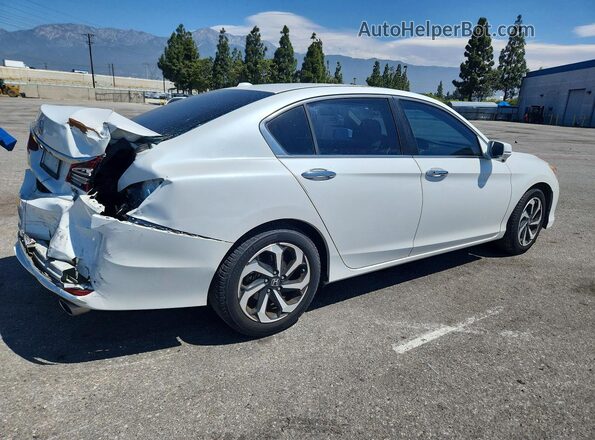 1HGCR3F84GA005239 2016 HONDA ACCORD White უკანა მარჯვენა