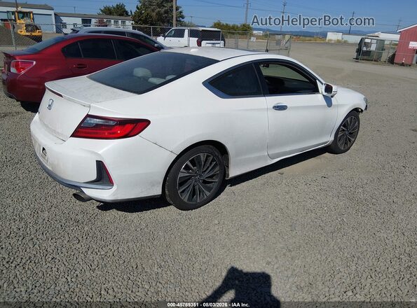 1HGCT1B74GA007544 2016 HONDA ACCORD Белый Задняя правая четверть