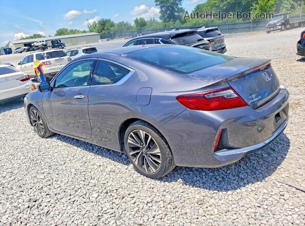 1HGCT1B77HA006681 2017 HONDA ACCORD Gray Tył lewy