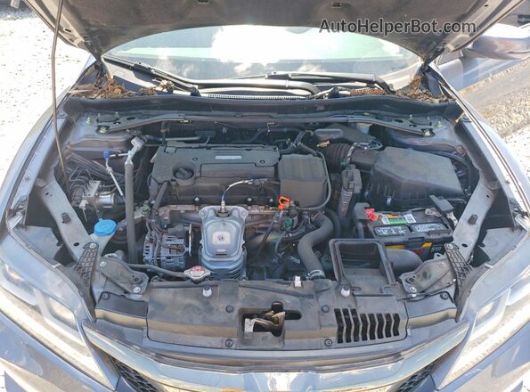 1HGCT1B77HA006681 2017 HONDA ACCORD Gray Widok wnętrza z tyłu