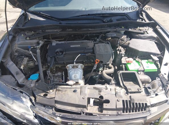 1HGCT1B84HA010101 2017 HONDA ACCORD Серый Вид сзади