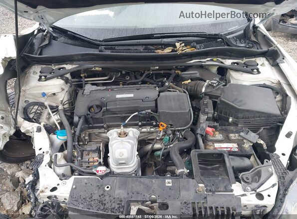 1HGCT1B89GA003854 2016 HONDA ACCORD White Vista trasera