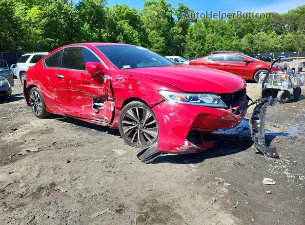 1HGCT1B8XGA000462 2016 HONDA ACCORD Red Առջևի աջ