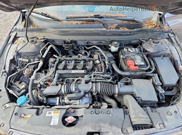 1HGCV1F33LA137164 2020 HONDA ACCORD Gray უკანა სალონის ხედი