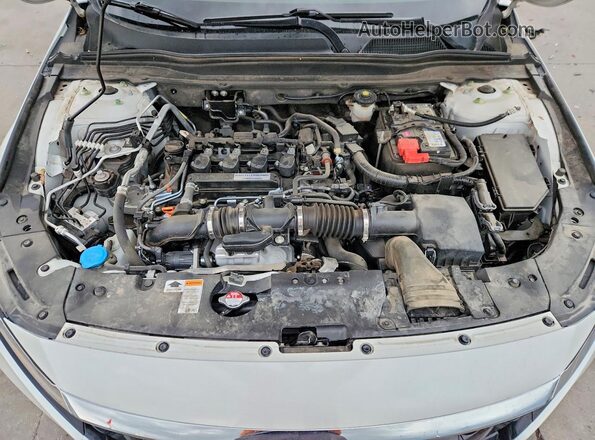 1HGCV1F52KA092086 2019 HONDA ACCORD Белый Вид задней части салона