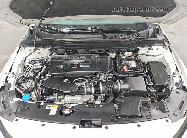 1HGCV2F38KA004498 2019 HONDA ACCORD White Սալոնի հետևի տեսք