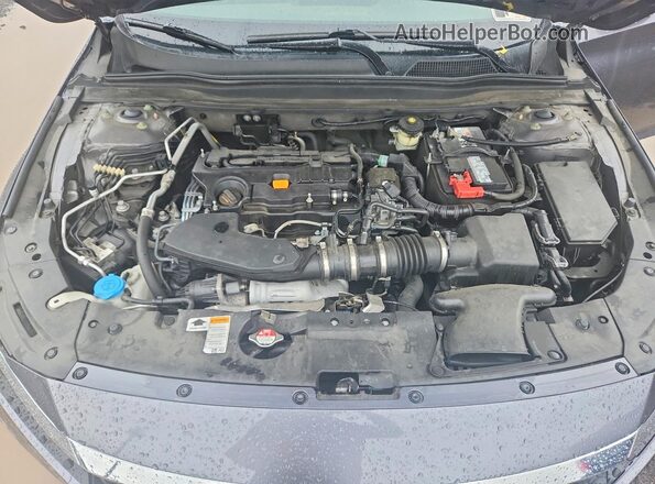 1HGCV2F59KA010733 2019 HONDA ACCORD Gray Вид задньої частини салону