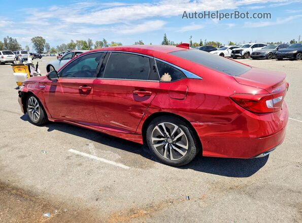 1HGCV3F16LA013531 2020 HONDA ACCORD Красный Задняя левая четверть