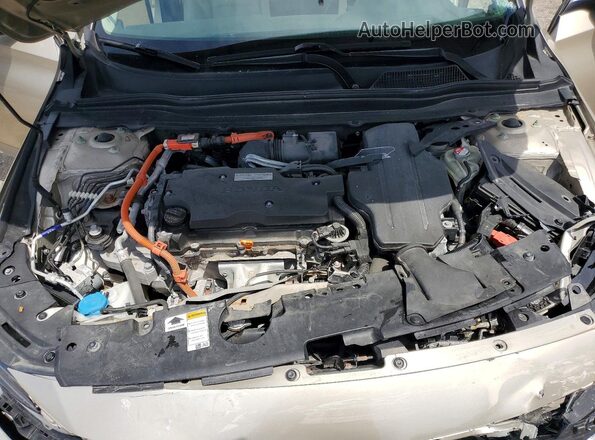 1HGCV3F90LA007097 2020 HONDA ACCORD Tan Widok wnętrza z tyłu