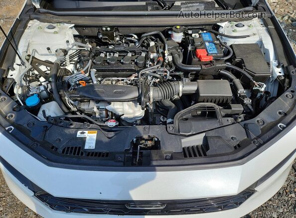 1HGCY1F29RA063949 2024 HONDA ACCORD White უკანა სალონის ხედი