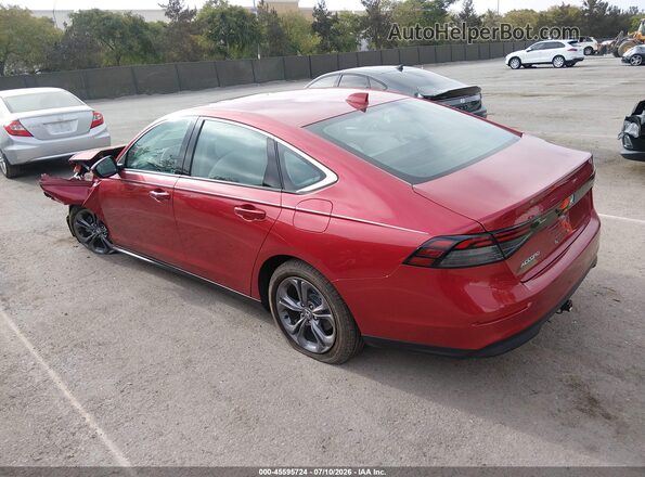 1HGCY1F30RA048359 2024 HONDA ACCORD Красный Задняя левая четверть