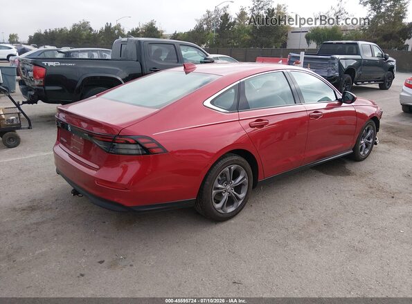1HGCY1F30RA048359 2024 HONDA ACCORD Красный Задняя правая четверть