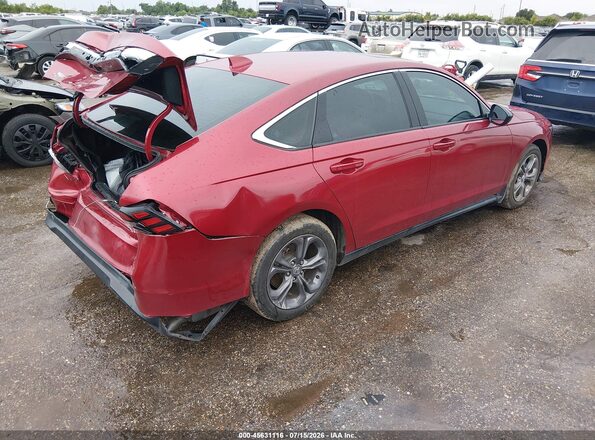 1HGCY1F33RA048324 2024 HONDA ACCORD Red Հետևի աջ
