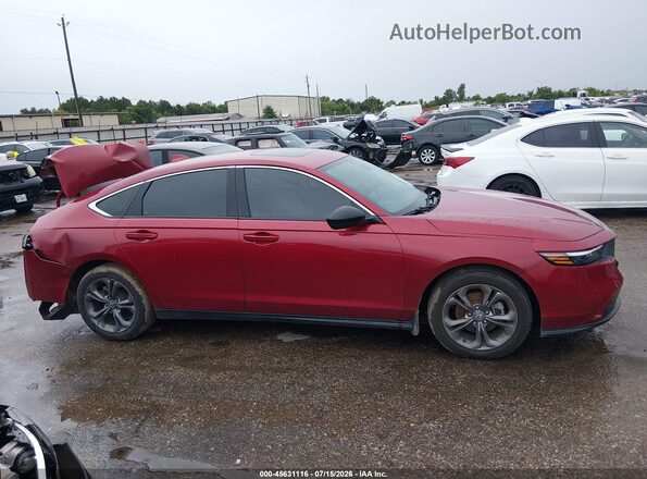 1HGCY1F33RA048324 2024 HONDA ACCORD Red Սալոնի հետևի տեսք
