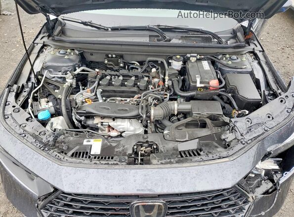 1HGCY1F39RA020527 2024 HONDA ACCORD Gray Widok wnętrza z tyłu