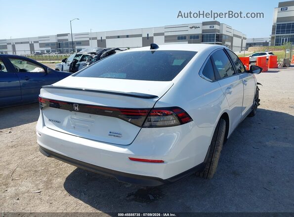 1HGCY2F51RA097805 2024 HONDA ACCORD Белый Задняя правая четверть