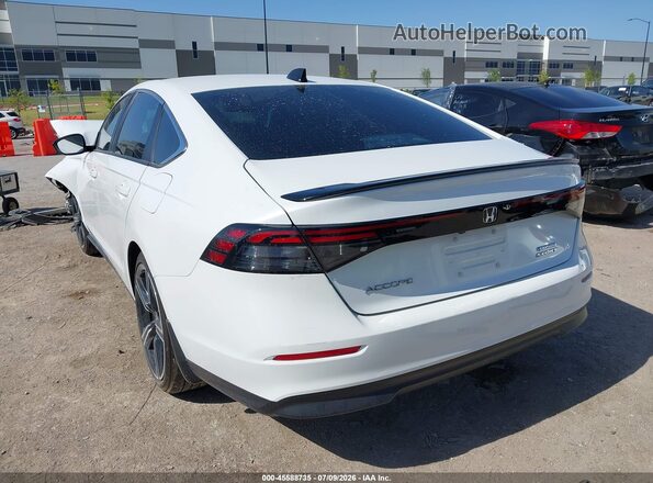 1HGCY2F51RA097805 2024 HONDA ACCORD Белый Задняя левая четверть