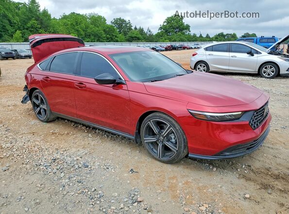 1HGCY2F54RA024301 2024 HONDA ACCORD Red Передня права чверть