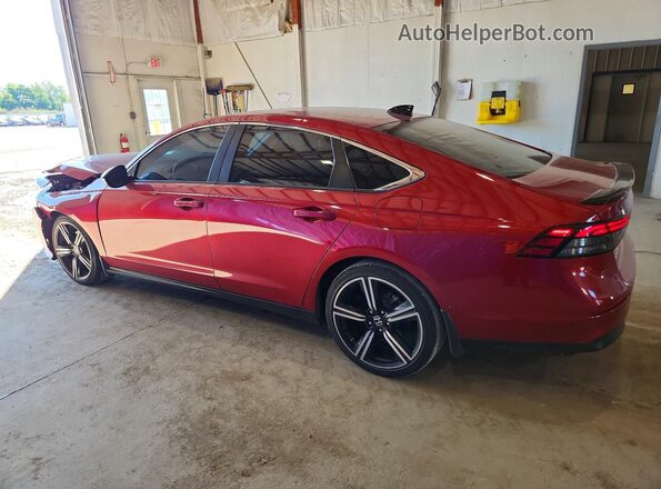 1HGCY2F59RA034256 2024 HONDA ACCORD Maroon Задня ліва чверть