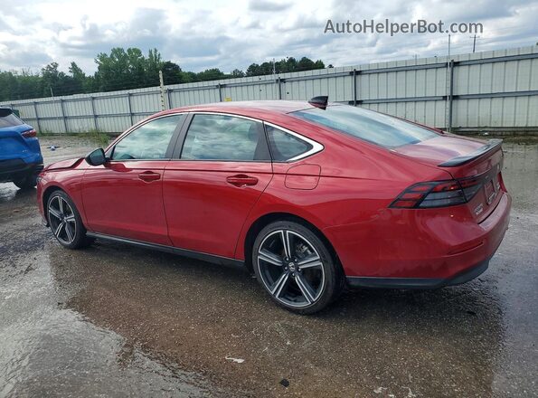 1HGCY2F59RA081643 2024 HONDA ACCORD Red Rear left