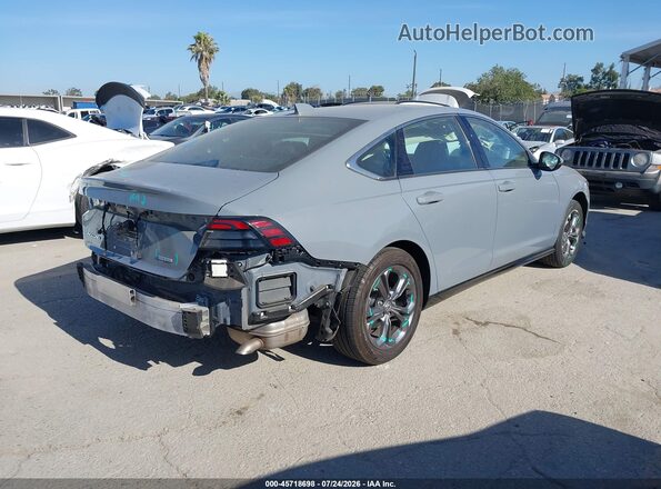 1HGCY2F62PA029437 2023 HONDA ACCORD Gray უკანა მარჯვენა