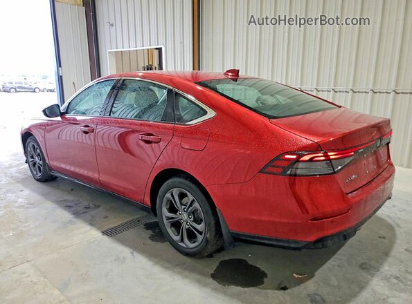 1HGCY2F66RA090552 2024 HONDA ACCORD Red Հետևի ձախ