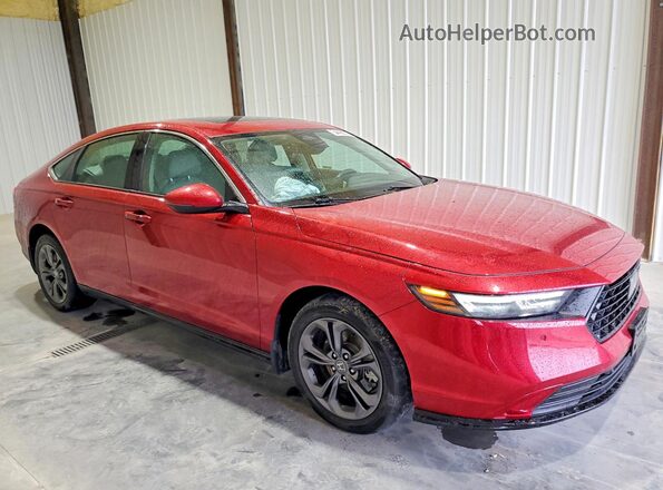 1HGCY2F66RA090552 2024 HONDA ACCORD Red Առջևի աջ