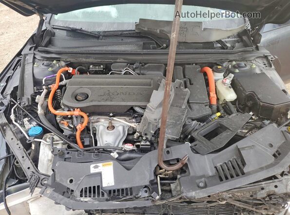 1HGCY2F67PA006378 2023 HONDA ACCORD Charcoal უკანა სალონის ხედი