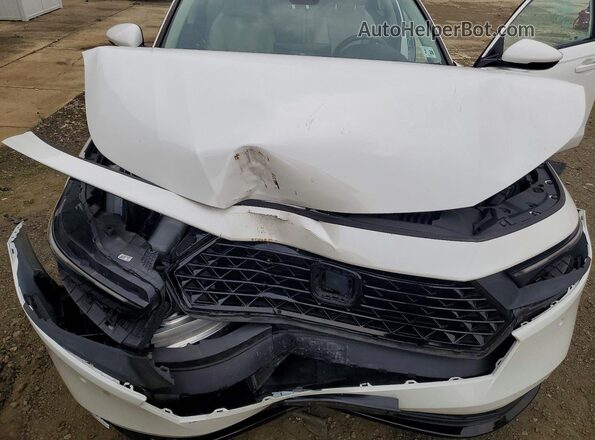 1HGCY2F81PA053312 2023 HONDA ACCORD White უკანა სალონის ხედი