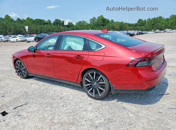 1HGCY2F87RA006403 2024 HONDA ACCORD Red უკანა მარცხენა