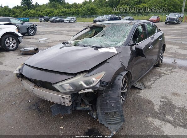1N4AA6AP0GC404625 2016 NISSAN MAXIMA Gray Առջևի ձախ երեք քառորդ տեսարան